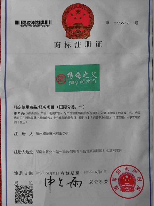 靖州和盈苗木有限公司-靖州縣斷根及移栽楊梅樹苗、桂花樹、柚子樹（黃金貢柚、紅心柚、沙田柚）、黃桃樹、大五星枇杷樹、美國紅楓、紅葉石楠